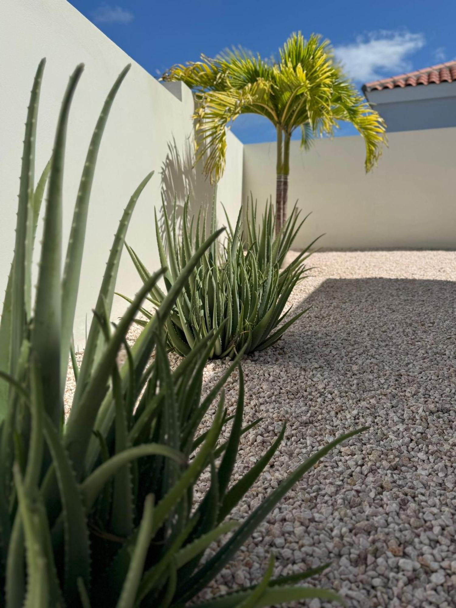 Villa Vista Montana Willemstad Bagian luar foto